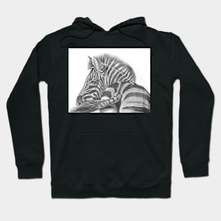 A Watchful Eye - Zebra Hoodie